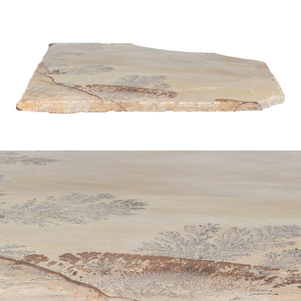 Fossil Sandstone Natural Flagstone