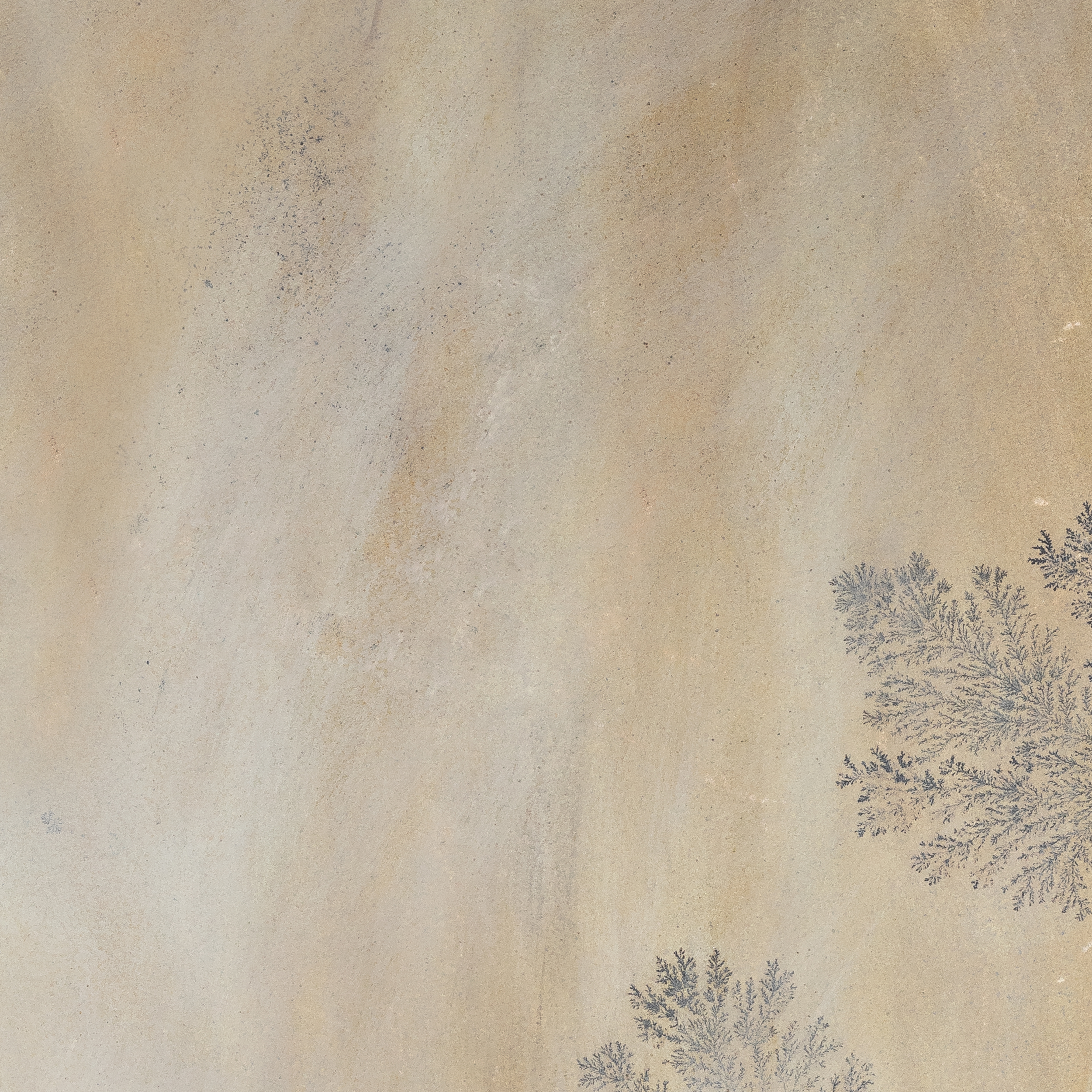 Fossil Slate Natural Flagstone