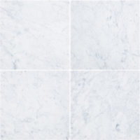 White Carrara Marble 12x12 Tumbled