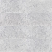 White Carrara Marble 12x24