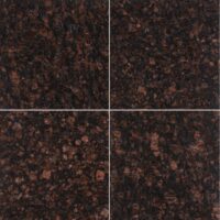 Tan Brown 12x12 Polished