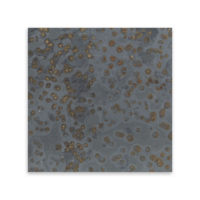 Brazilian Multi Color Slate 12x12 Gauged