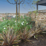 Desert Gold Quartzite Natural Ledger Panel