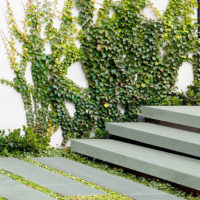 Indian Bluestone Slate