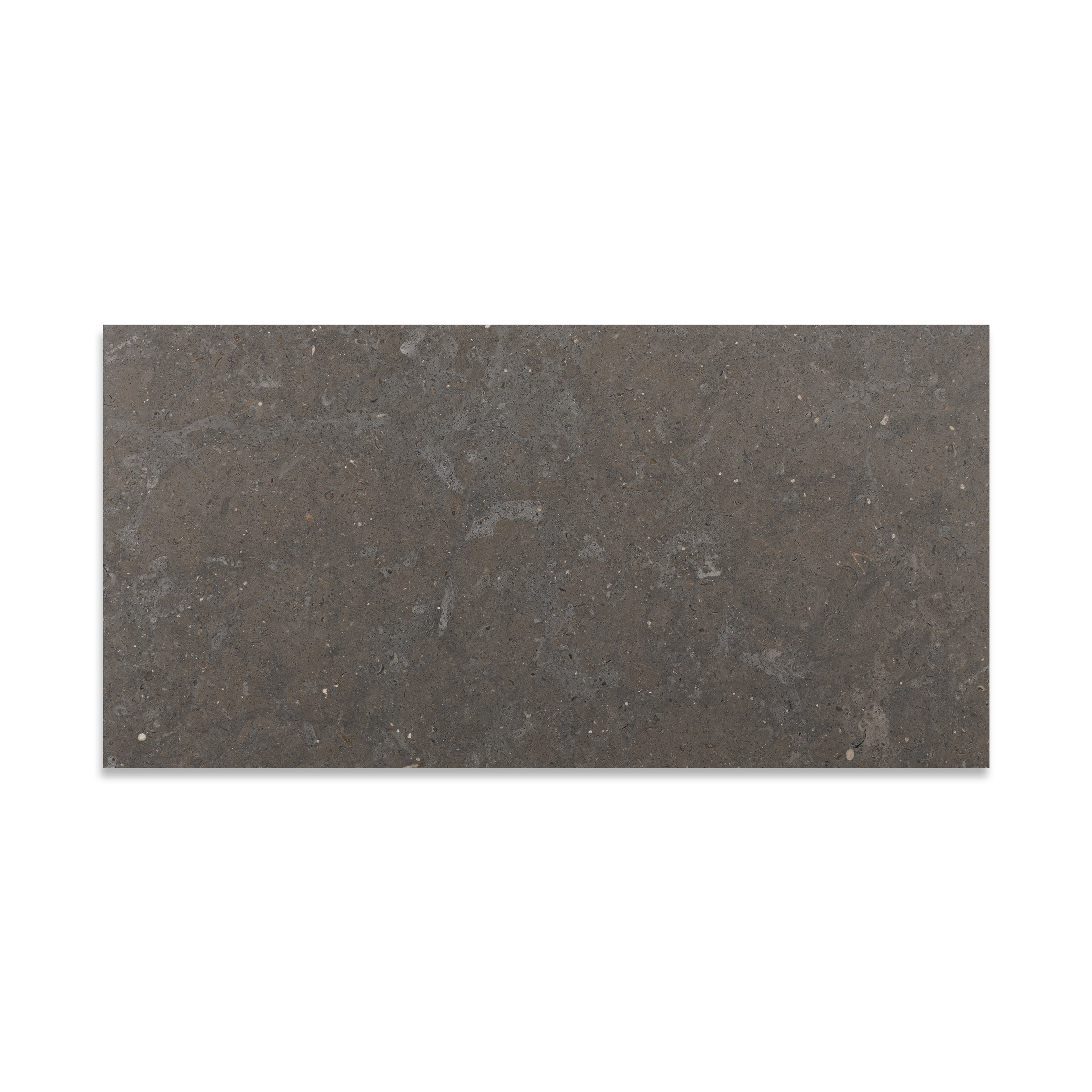 Lagos Blue Limestone 12x24 Honed