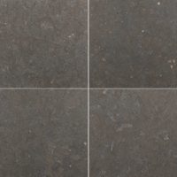 Lagos Blue Limestone 24x24 Honed
