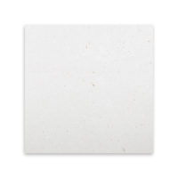 Lymra Limestone 12x12