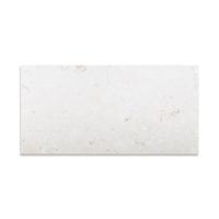 Lymra Limestone 12x24