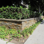 Oak Mountain Quartzite Natural Ledger Panel