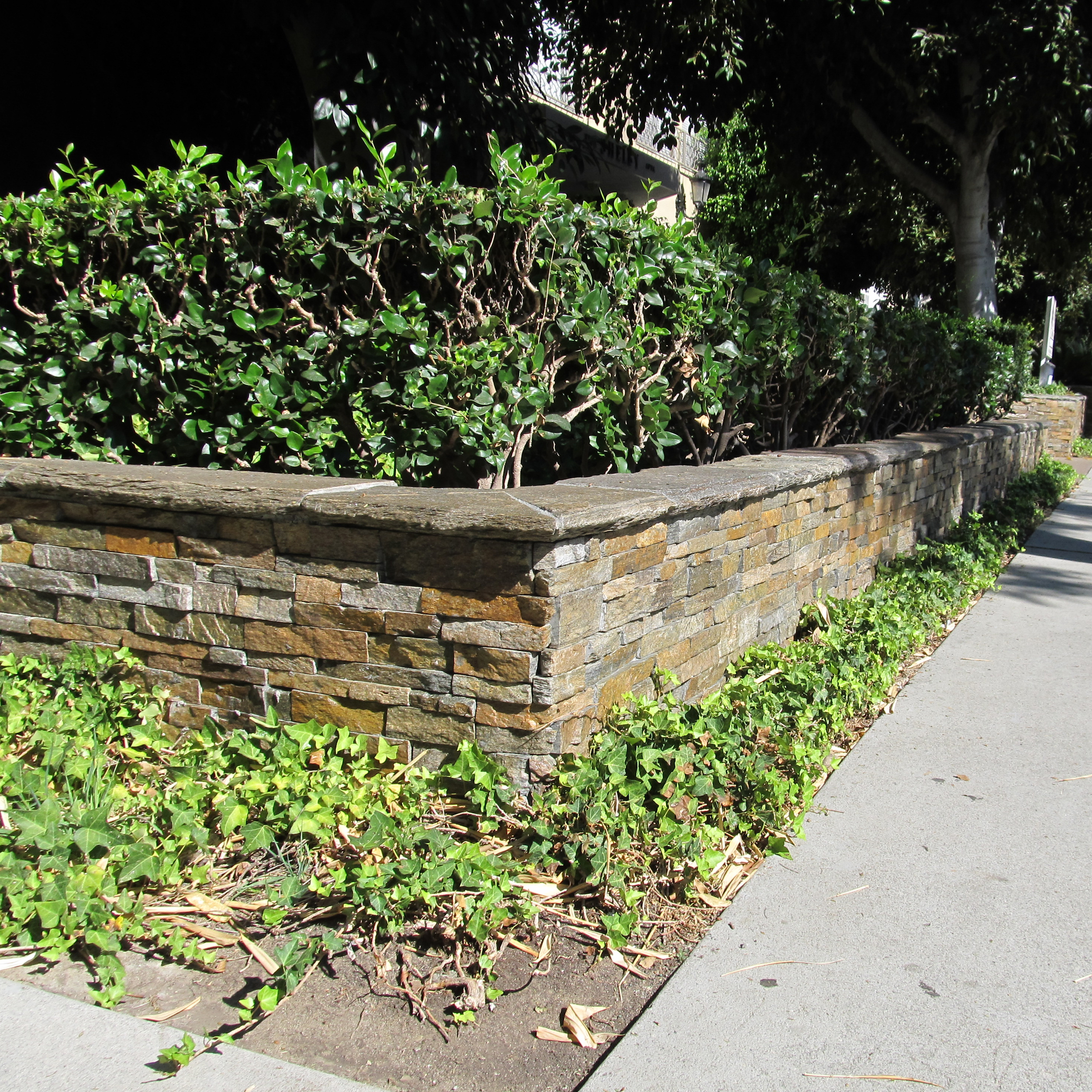 Oak Mountain Quartzite Natural Ledger Panel