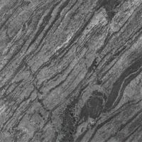 Ostrich Grey Polished