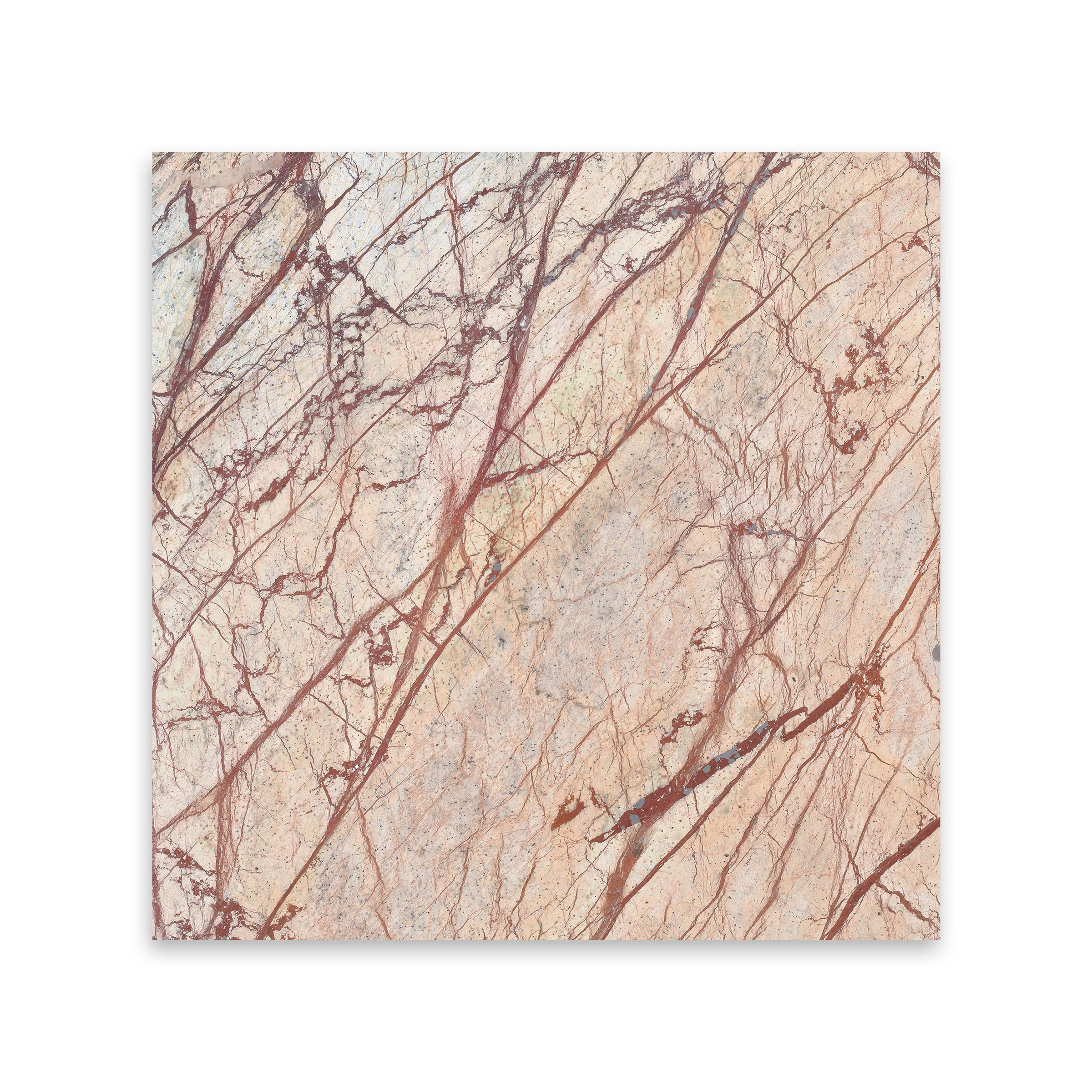 Rain Forest Brown Marble 12x12