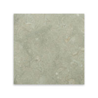 Seagrass Limestone 12x12