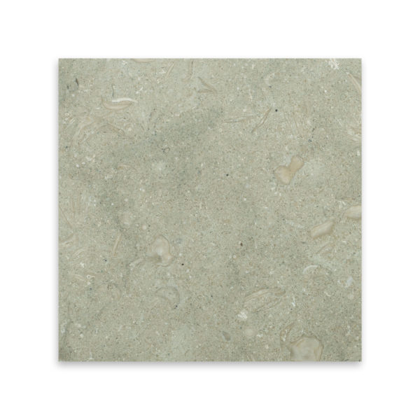 Seagrass Limestone 12x12