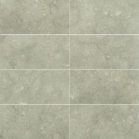 Seagrass Limestone 12x24 Honed