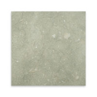 Seagrass Limestone 18x18
