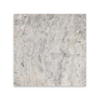 Silver Premium Travertine 12x12 Filled/ Honed