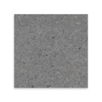 Spanish Grey Marble 12x12 Polished