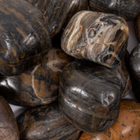 Tiger Stripe Large Polished Loose Pebbles
