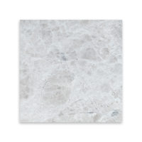 Tundra Grey Marble 12x12
