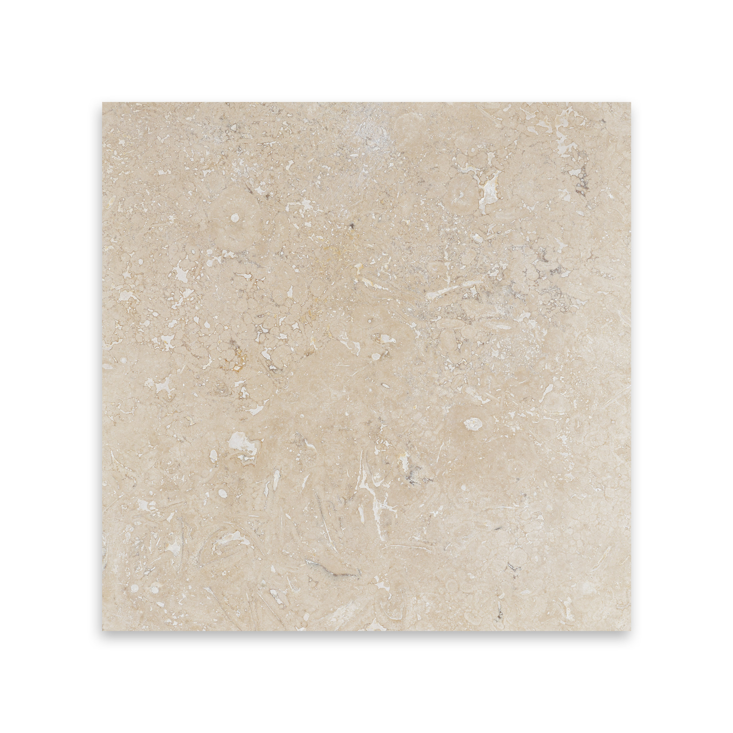 Veracruz Travertine 12x12 Filled/ Honed