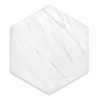 Bianco Dolomite Marble 10" Hexagon