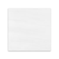 Bianco Dolomite Marble 12x12