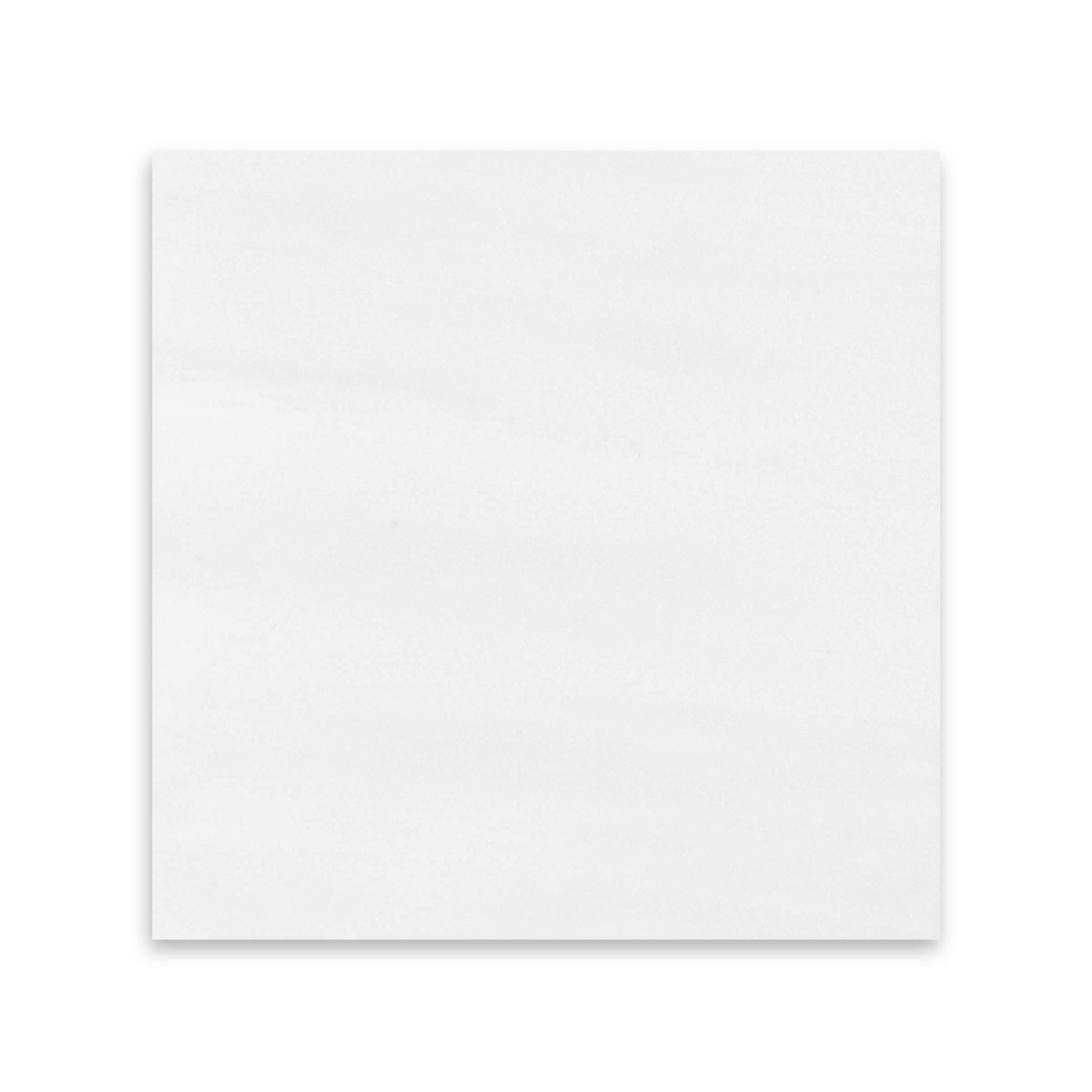 Bianco Dolomite Marble 12x12