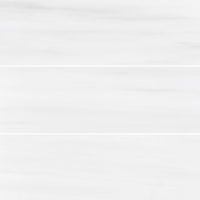 Bianco Dolomite Marble 4x12