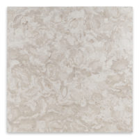 Ocean Reef Limestone 24x24
