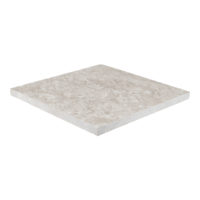 Ocean Reef Limestone 2CM 12x12 Brushed