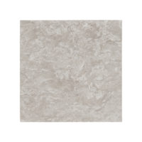 Ocean Reef Limestone 2CM 12x12 Brushed