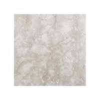 Ocean Reef Limestone 2CM 12x12 Filled & Honed