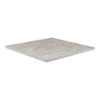 Ocean Reef Limestone 2CM 24x24 Filled & Honed