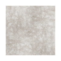 Ocean Reef Limestone 2CM 24x24 Filled & Honed