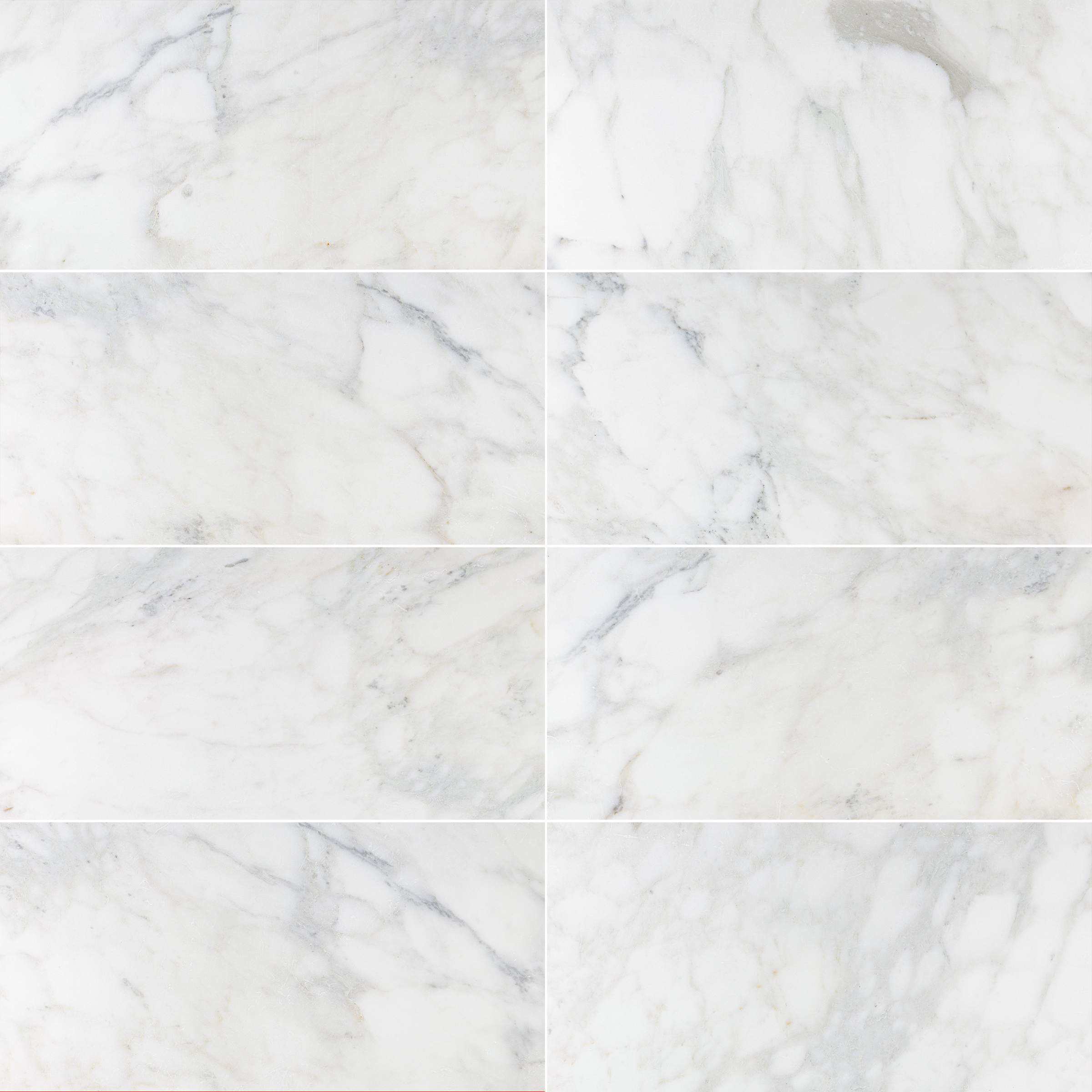 Calacatta Caldia Marble 12x24