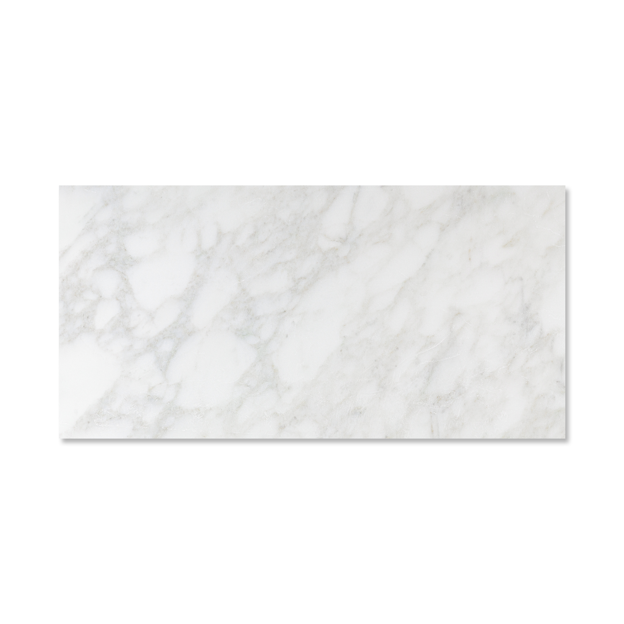 Calacatta Caldia Marble 12x24