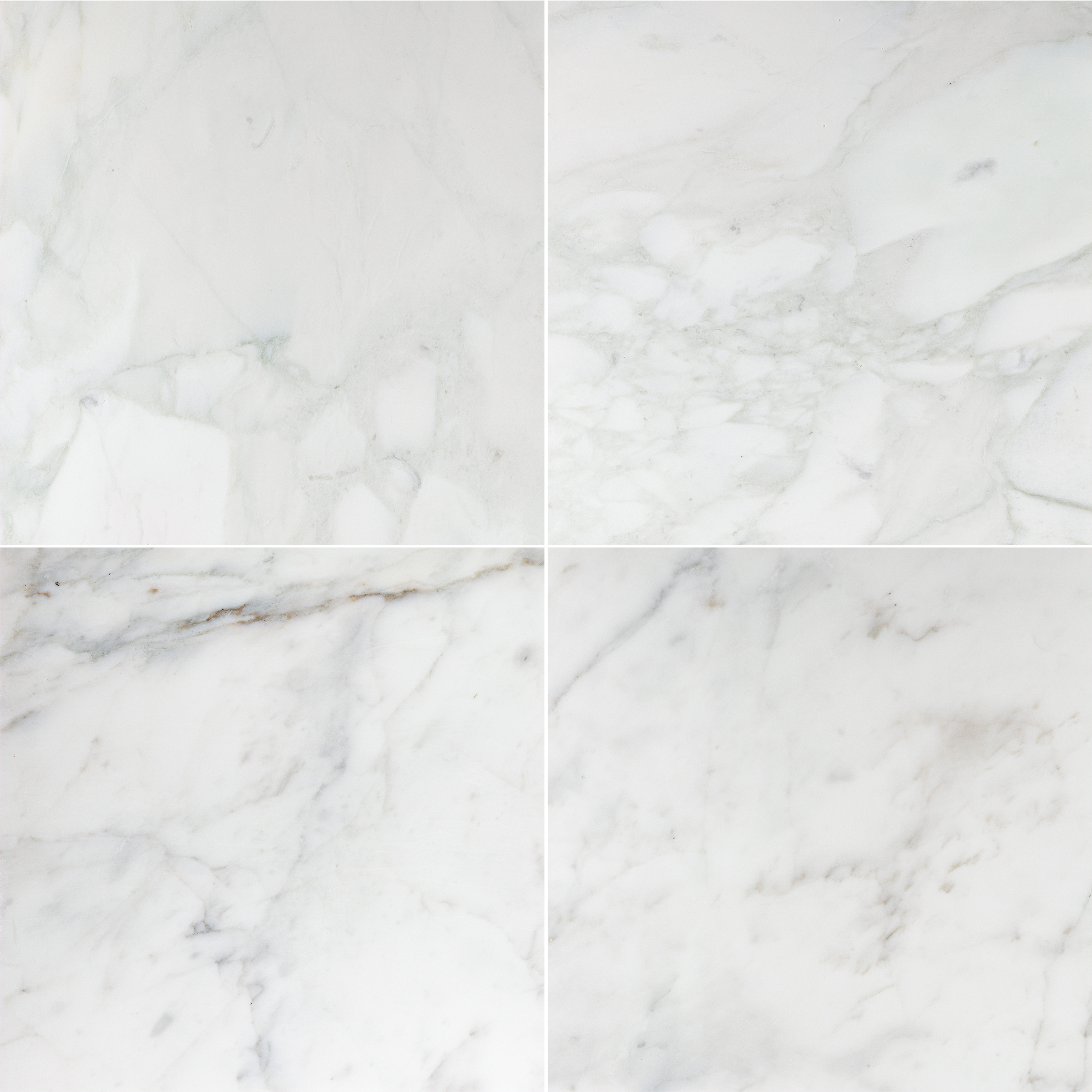 Calacatta Caldia Marble 18x18