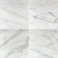 Calacatta Caldia Marble 24x24