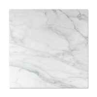 Calacatta Caldia Marble 24x24