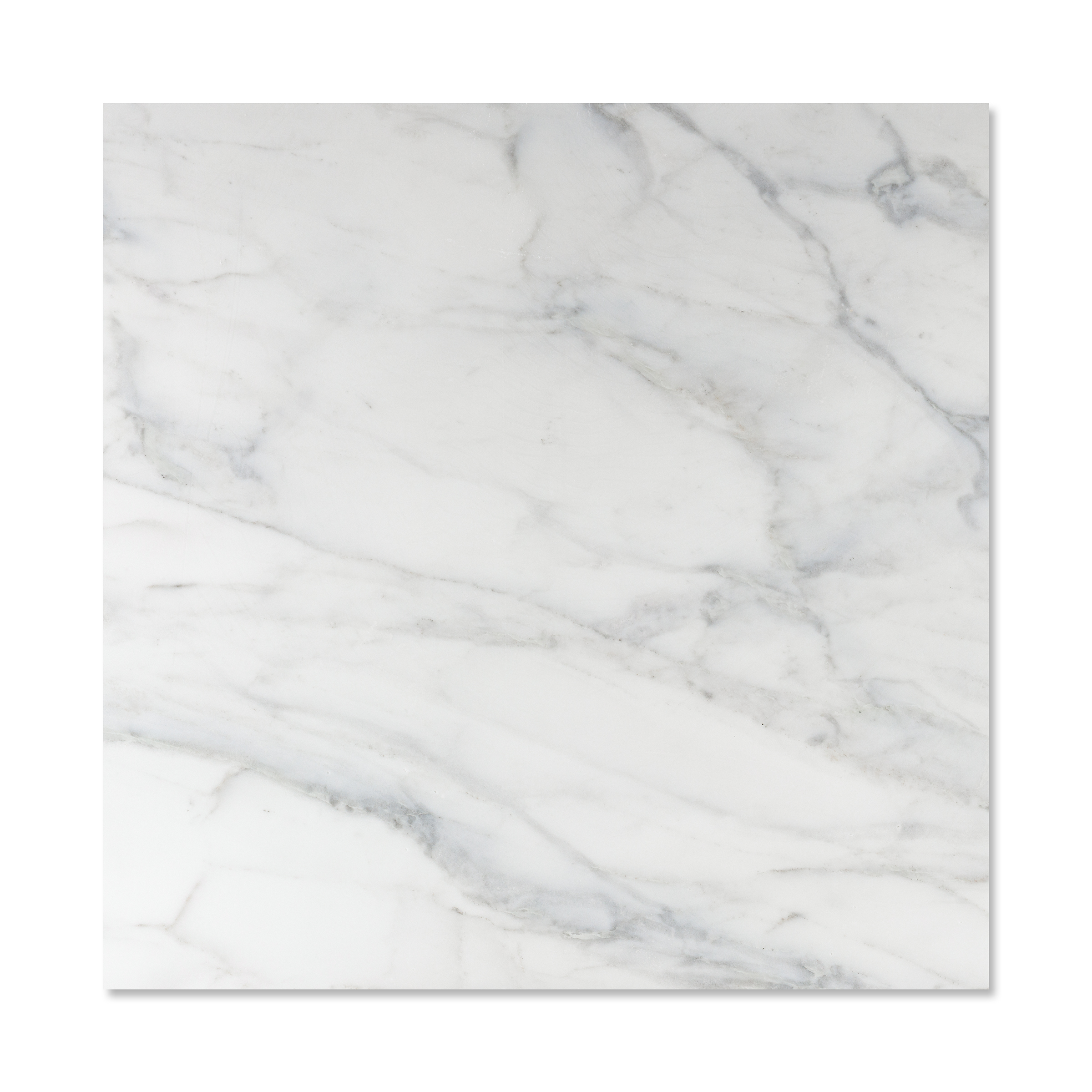 Calacatta Caldia Marble 24x24