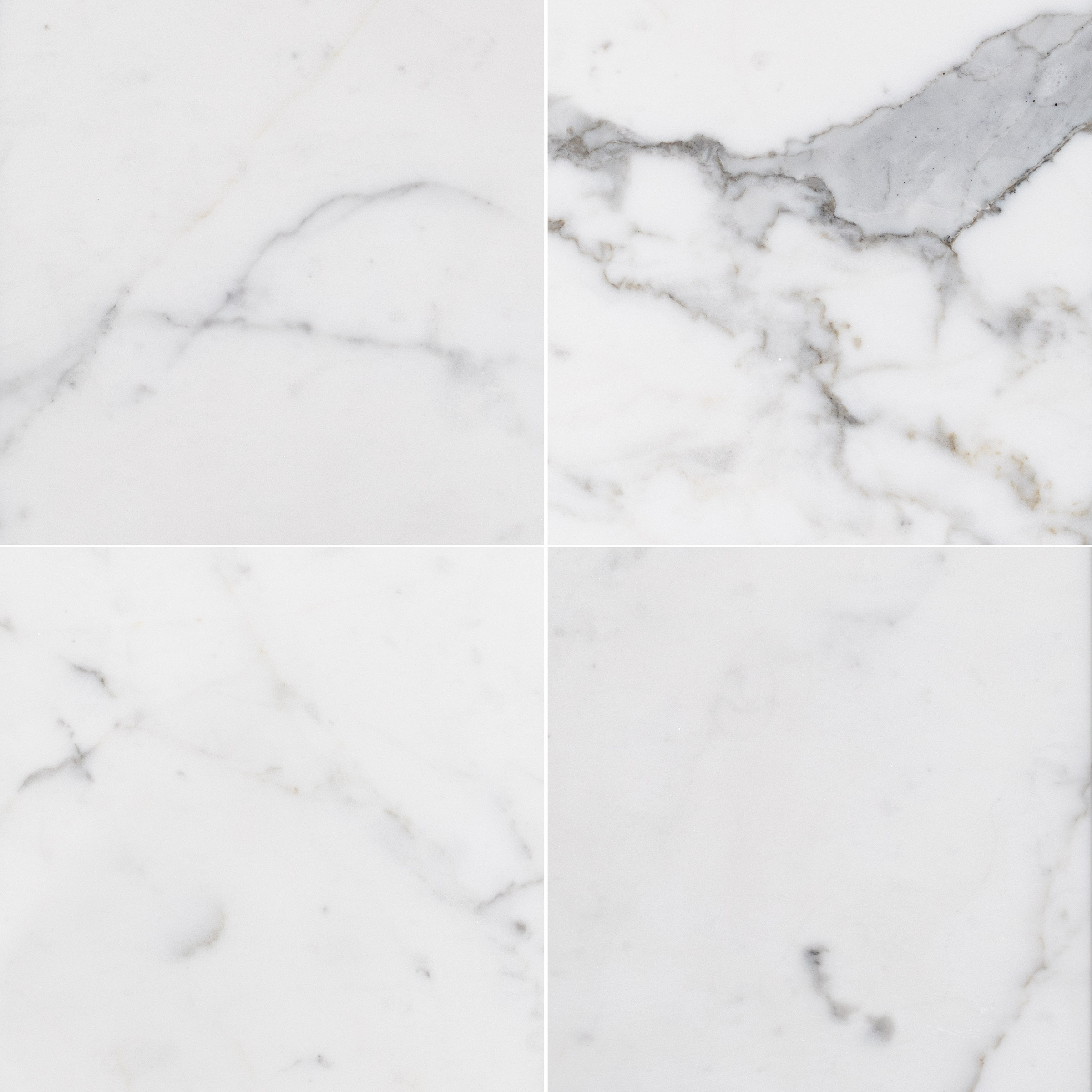 Statuary White Marble 24x24