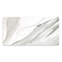 Calacatta Gold Marble 18x36 Honed