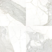 Calacatta Gold Marble 24x24