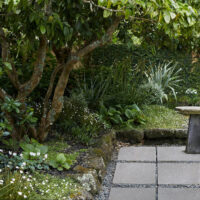 Purbeck Gray Limestone