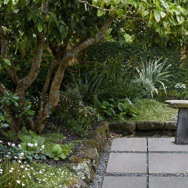 Purbeck Gray Limestone