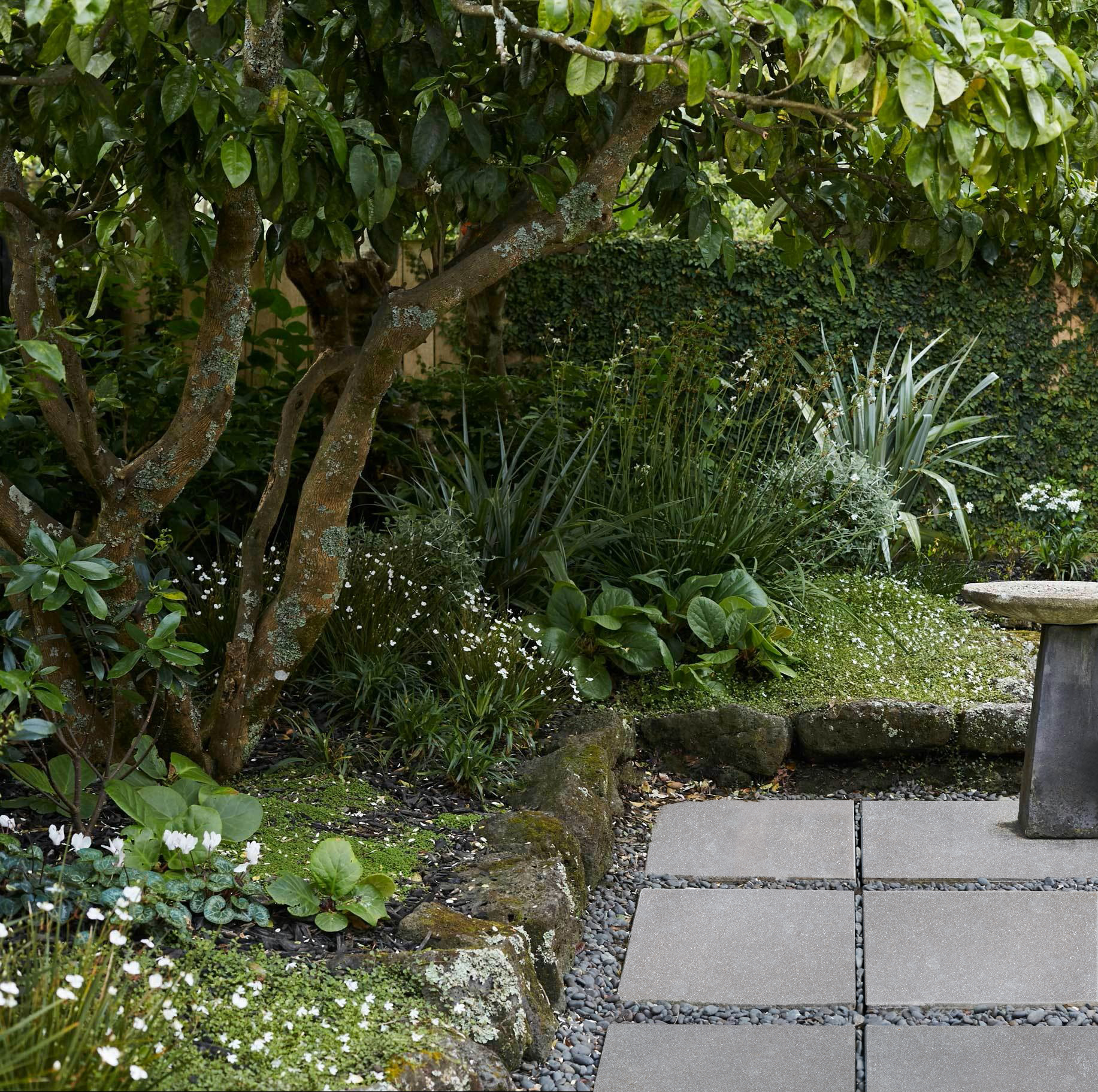 Purbeck Gray Limestone