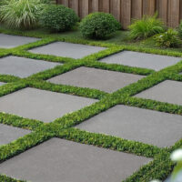 Purbeck Gray Limestone