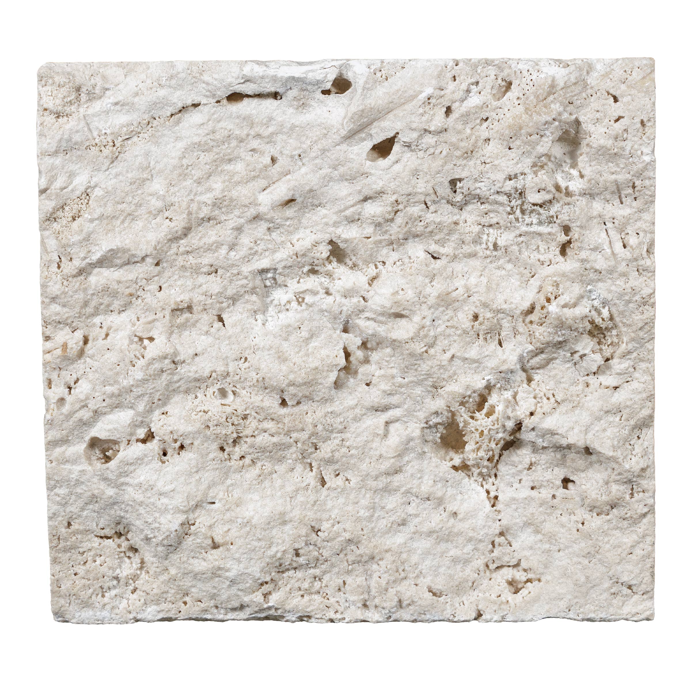 Ivory Premium Travertine 4XFree Length Veneer