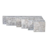 Silver Premium Travertine 4XFree Length Veneer